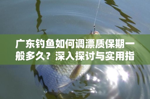 广东钓鱼如何调漂质保期一般多久？深入探讨与实用指南