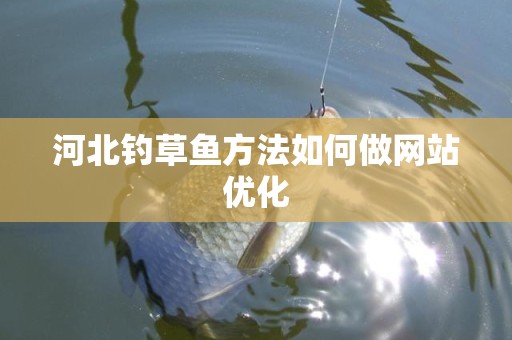 河北钓草鱼方法如何做网站优化