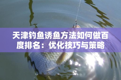 天津钓鱼诱鱼方法如何做百度排名：优化技巧与策略