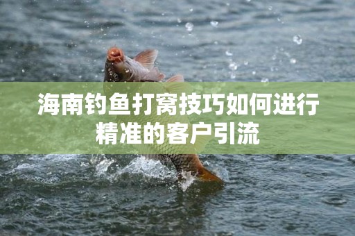 海南钓鱼打窝技巧如何进行精准的客户引流