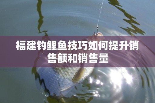 福建钓鲤鱼技巧如何提升销售额和销售量
