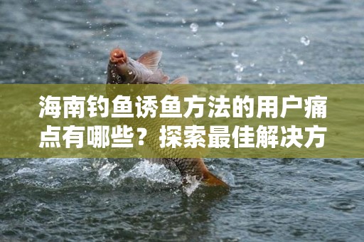 海南钓鱼诱鱼方法的用户痛点有哪些？探索最佳解决方案