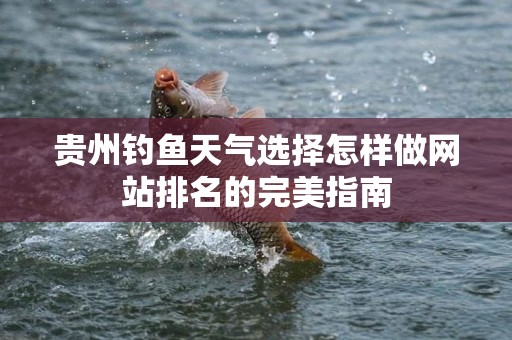 贵州钓鱼天气选择怎样做网站排名的完美指南
