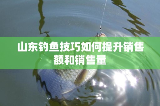 山东钓鱼技巧如何提升销售额和销售量
