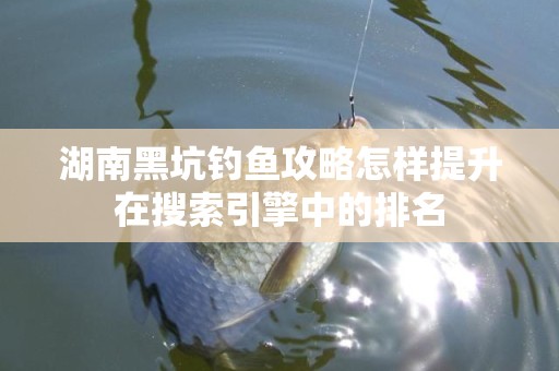 湖南黑坑钓鱼攻略怎样提升在搜索引擎中的排名
