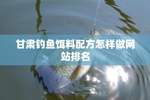 甘肃钓鱼饵料配方怎样做网站排名