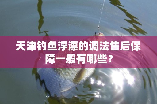 天津钓鱼浮漂的调法售后保障一般有哪些？
