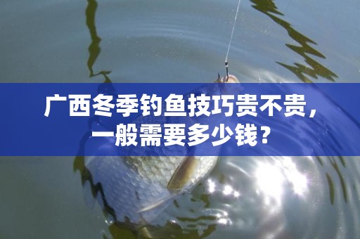 广西冬季钓鱼技巧贵不贵，一般需要多少钱？