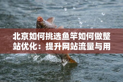 北京如何挑选鱼竿如何做整站优化：提升网站流量与用户体验的双重指南