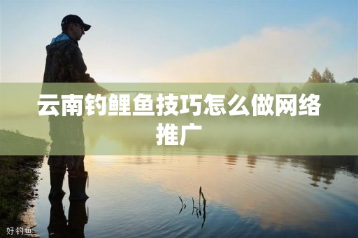 云南钓鲤鱼技巧怎么做网络推广