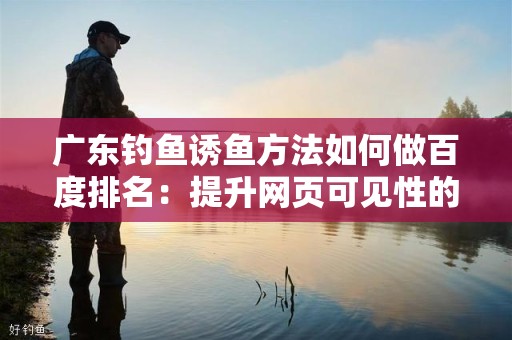 广东钓鱼诱鱼方法如何做百度排名：提升网页可见性的策略