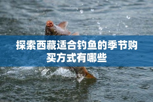 探索西藏适合钓鱼的季节购买方式有哪些