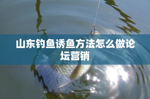 山东钓鱼诱鱼方法怎么做论坛营销