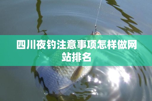 四川夜钓注意事项怎样做网站排名