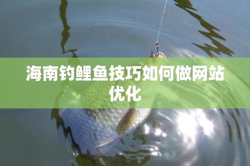 海南钓鲤鱼技巧如何做网站优化