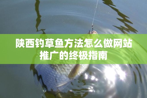 陕西钓草鱼方法怎么做网站推广的终极指南