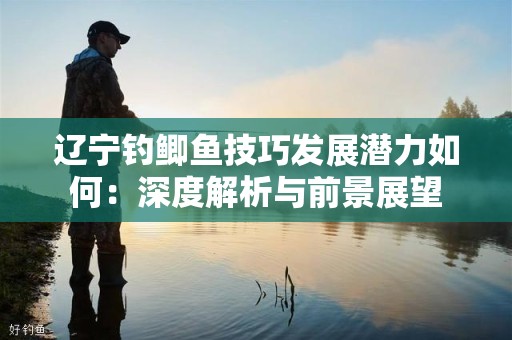 辽宁钓鲫鱼技巧发展潜力如何：深度解析与前景展望
