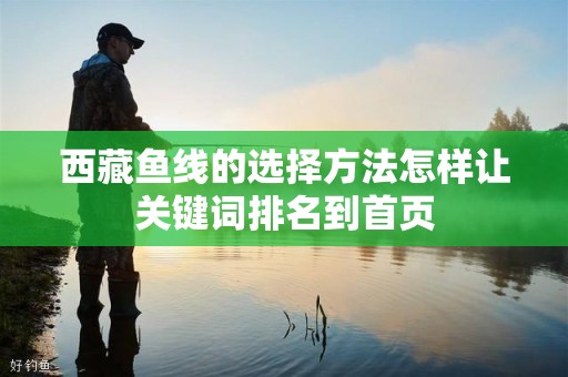 西藏鱼线的选择方法怎样让关键词排名到首页