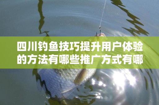 四川钓鱼技巧提升用户体验的方法有哪些推广方式有哪些