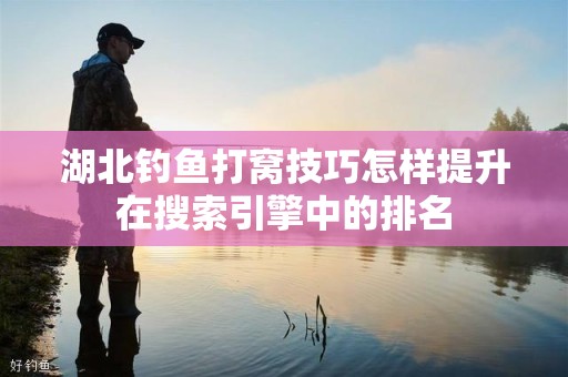 湖北钓鱼打窝技巧怎样提升在搜索引擎中的排名