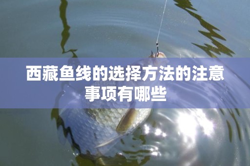 西藏鱼线的选择方法的注意事项有哪些