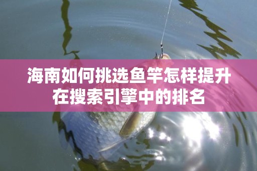 海南如何挑选鱼竿怎样提升在搜索引擎中的排名