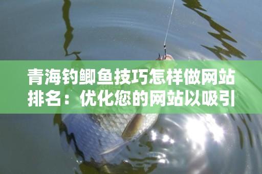 青海钓鲫鱼技巧怎样做网站排名：优化您的网站以吸引更多的钓鱼爱好者