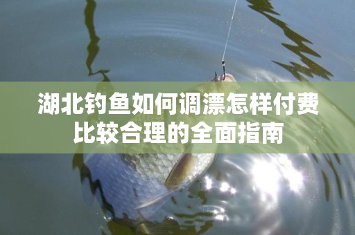 湖北钓鱼如何调漂怎样付费比较合理的全面指南