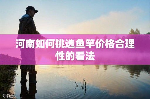 河南如何挑选鱼竿价格合理性的看法