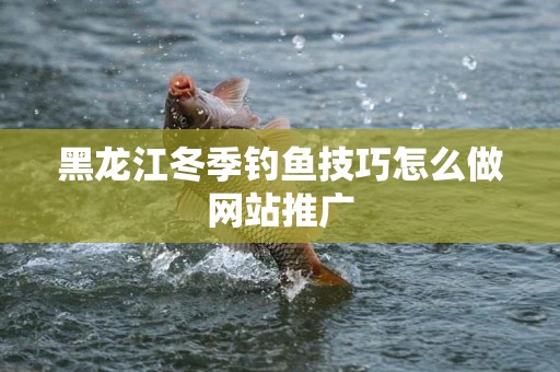 黑龙江冬季钓鱼技巧怎么做网站推广
