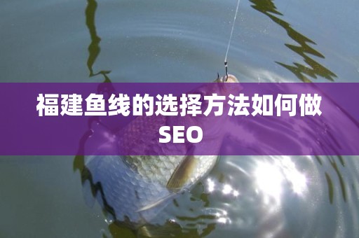 福建鱼线的选择方法如何做SEO