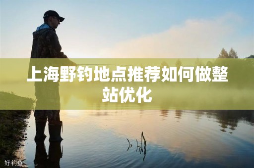 上海野钓地点推荐如何做整站优化