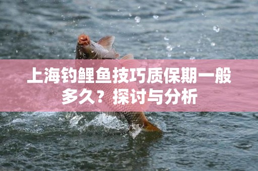 上海钓鲤鱼技巧质保期一般多久？探讨与分析