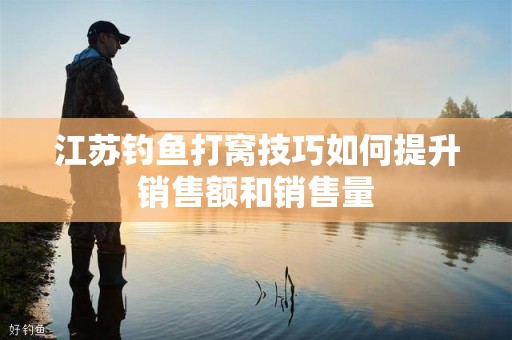 江苏钓鱼打窝技巧如何提升销售额和销售量