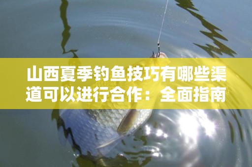 山西夏季钓鱼技巧有哪些渠道可以进行合作：全面指南