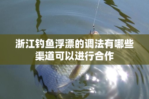 浙江钓鱼浮漂的调法有哪些渠道可以进行合作