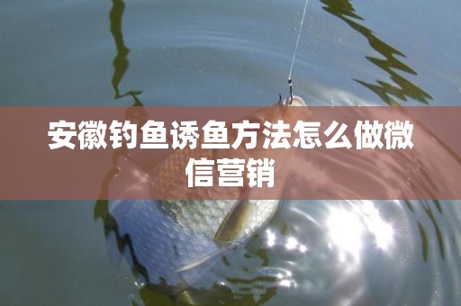 安徽钓鱼诱鱼方法怎么做微信营销
