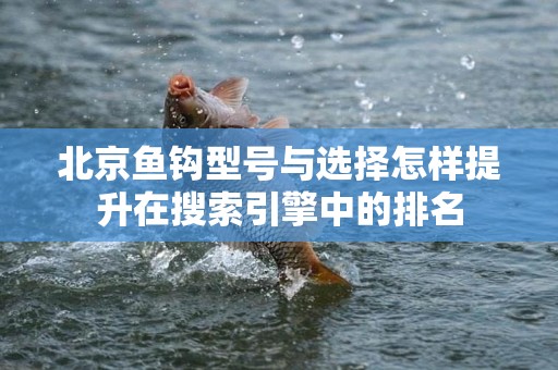 北京鱼钩型号与选择怎样提升在搜索引擎中的排名
