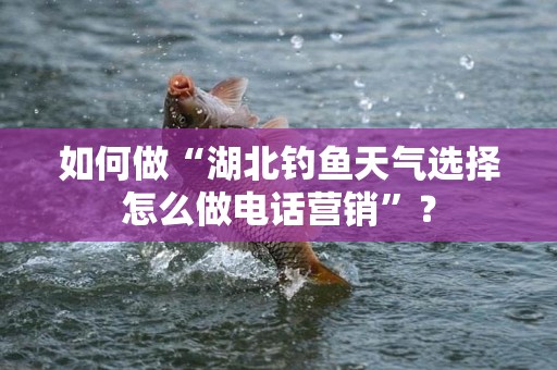 如何做“湖北钓鱼天气选择怎么做电话营销”？