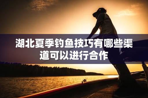 湖北夏季钓鱼技巧有哪些渠道可以进行合作