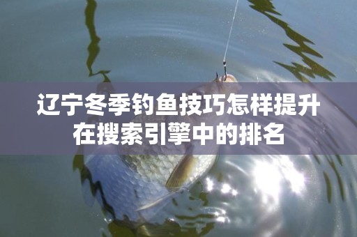 辽宁冬季钓鱼技巧怎样提升在搜索引擎中的排名