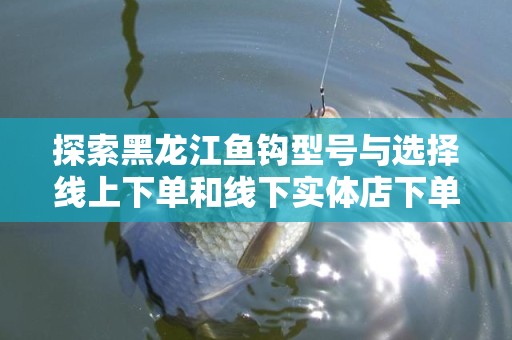 探索黑龙江鱼钩型号与选择线上下单和线下实体店下单哪个好