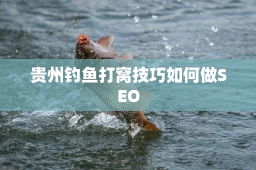 贵州钓鱼打窝技巧如何做SEO