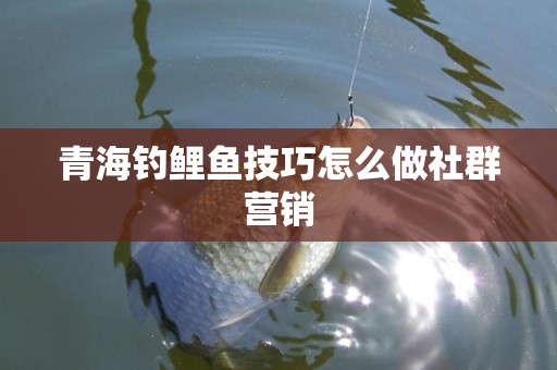 青海钓鲤鱼技巧怎么做社群营销