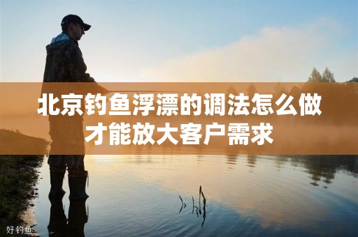 北京钓鱼浮漂的调法怎么做才能放大客户需求