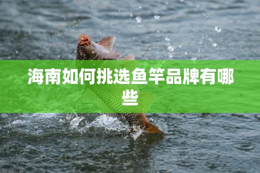 海南如何挑选鱼竿品牌有哪些
