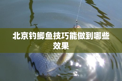 北京钓鲫鱼技巧能做到哪些效果
