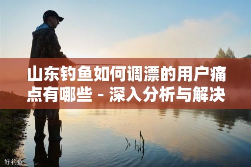 山东钓鱼如何调漂的用户痛点有哪些 - 深入分析与解决方案