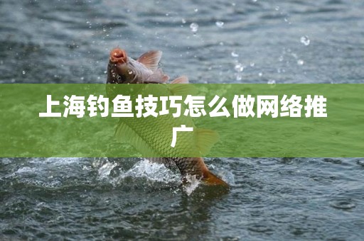 上海钓鱼技巧怎么做网络推广