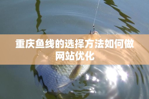 重庆鱼线的选择方法如何做网站优化